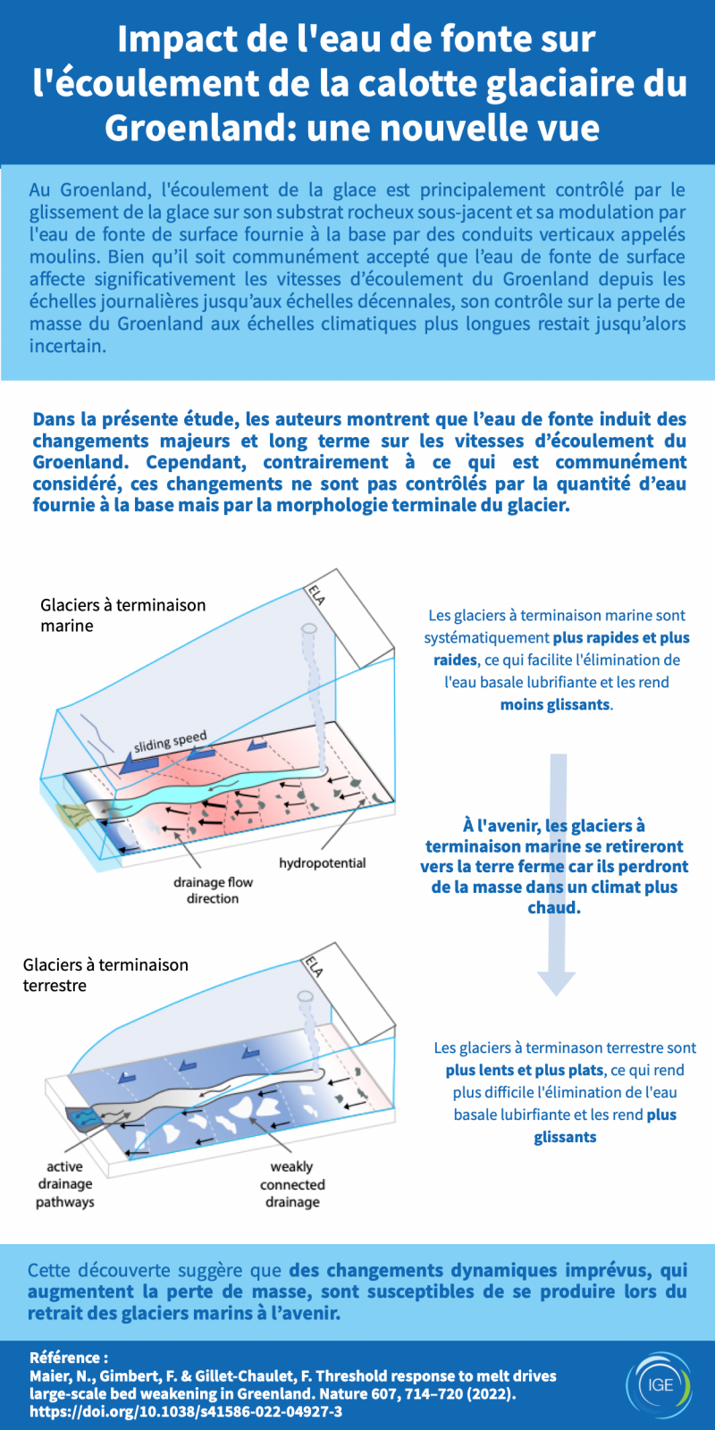 Infographie