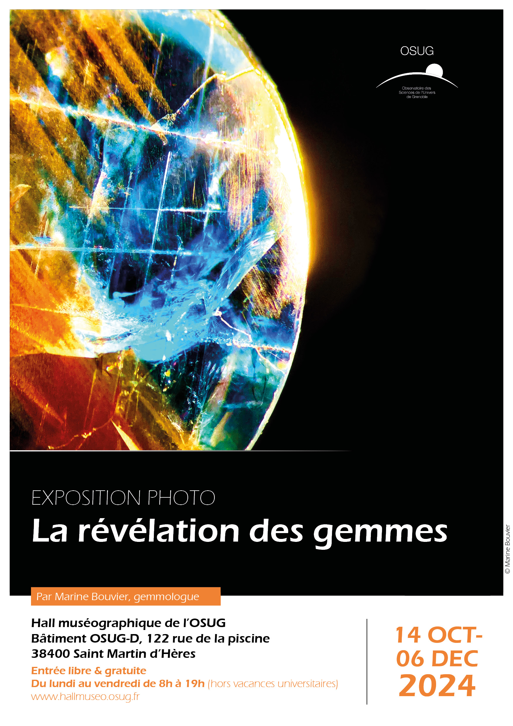 Affiche expo gemmes