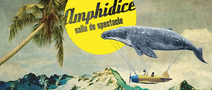 Amphidice