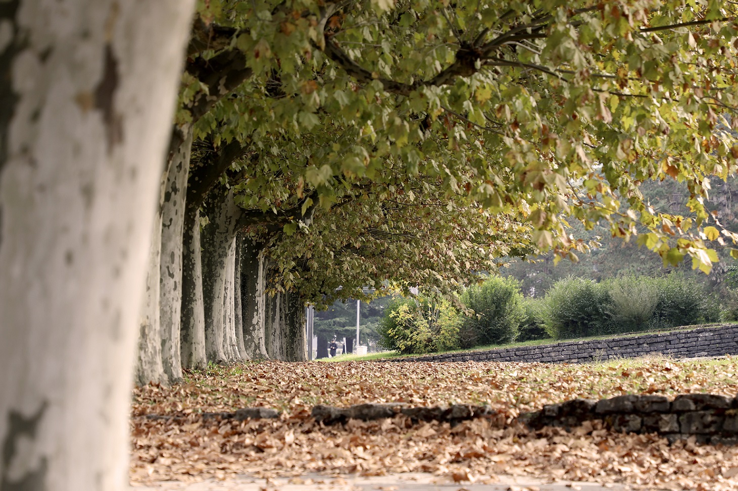 biodiversité à l'Université Grenoble Alpes