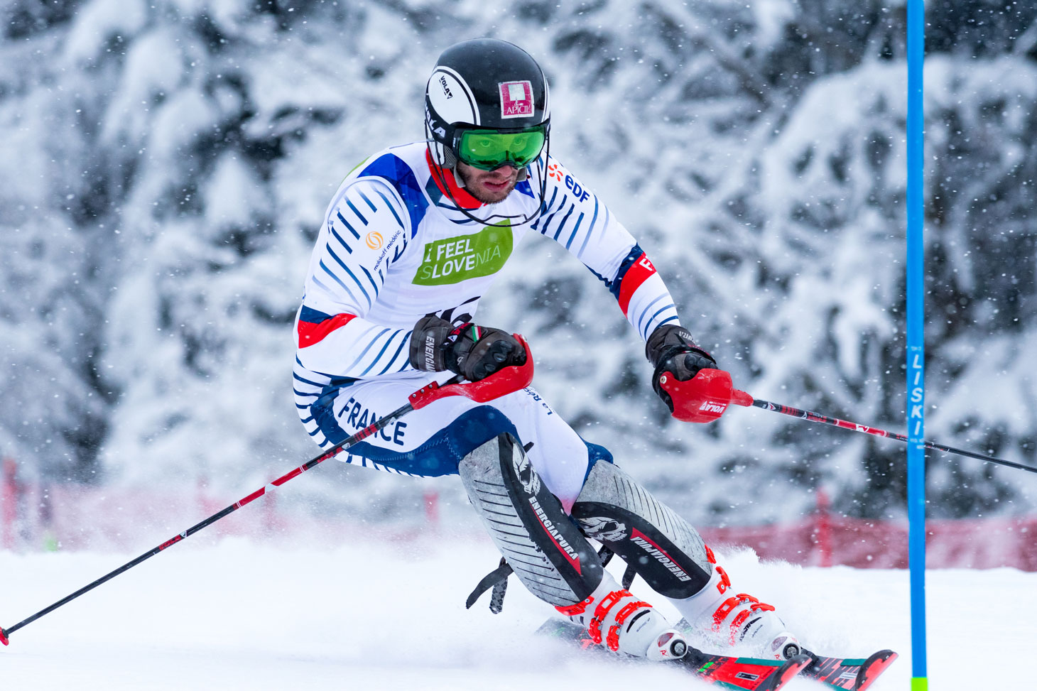Jordan Broisin, diplômé de l’UGA. Equipe de France de para ski alpin © FFH - Ralf Kuckuck