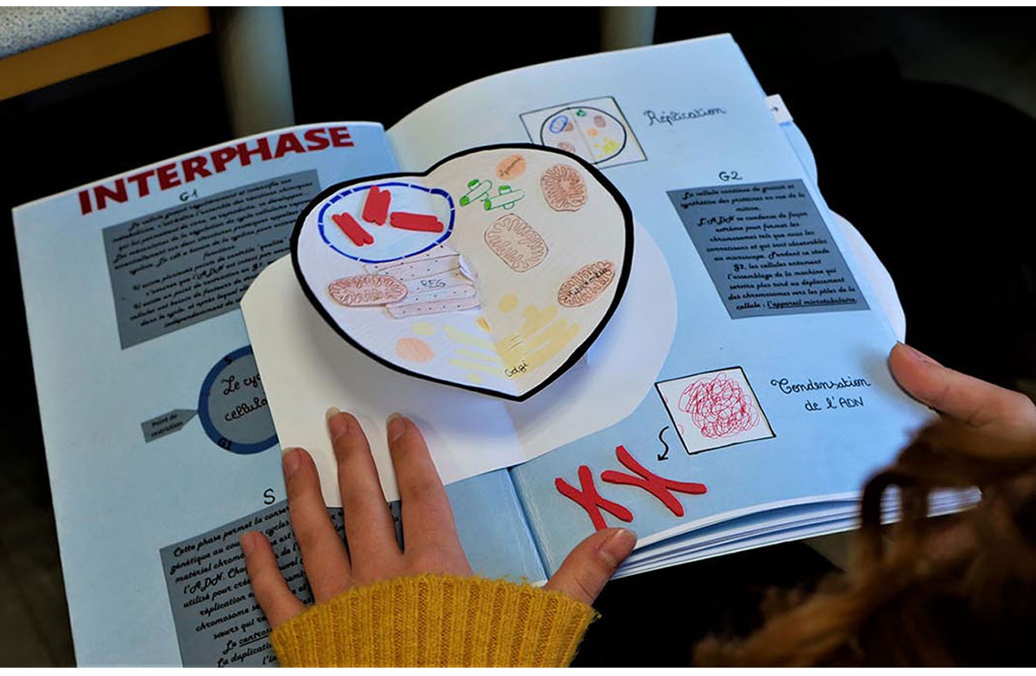 visuel de l'article au sujet du challenge créativité en biologie au DLST à Grenoble