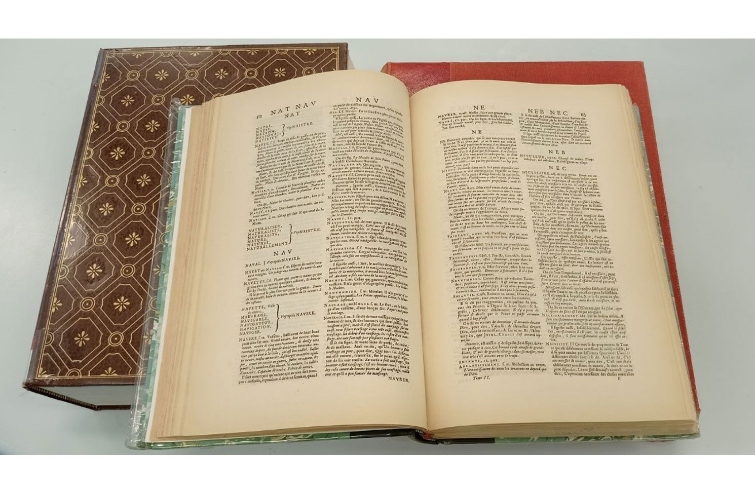Dictionnaire ancien ouvert lors de l'atelier lexicographie à la bibliothèque de l'UGA financé par la DAPI