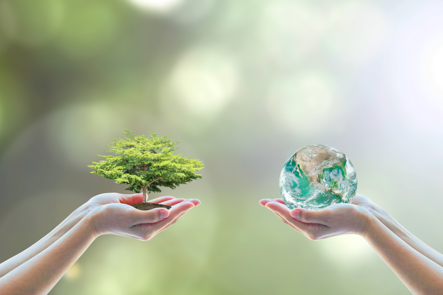 Première édition des Grenoble interdisciplinary days : planète et société durable