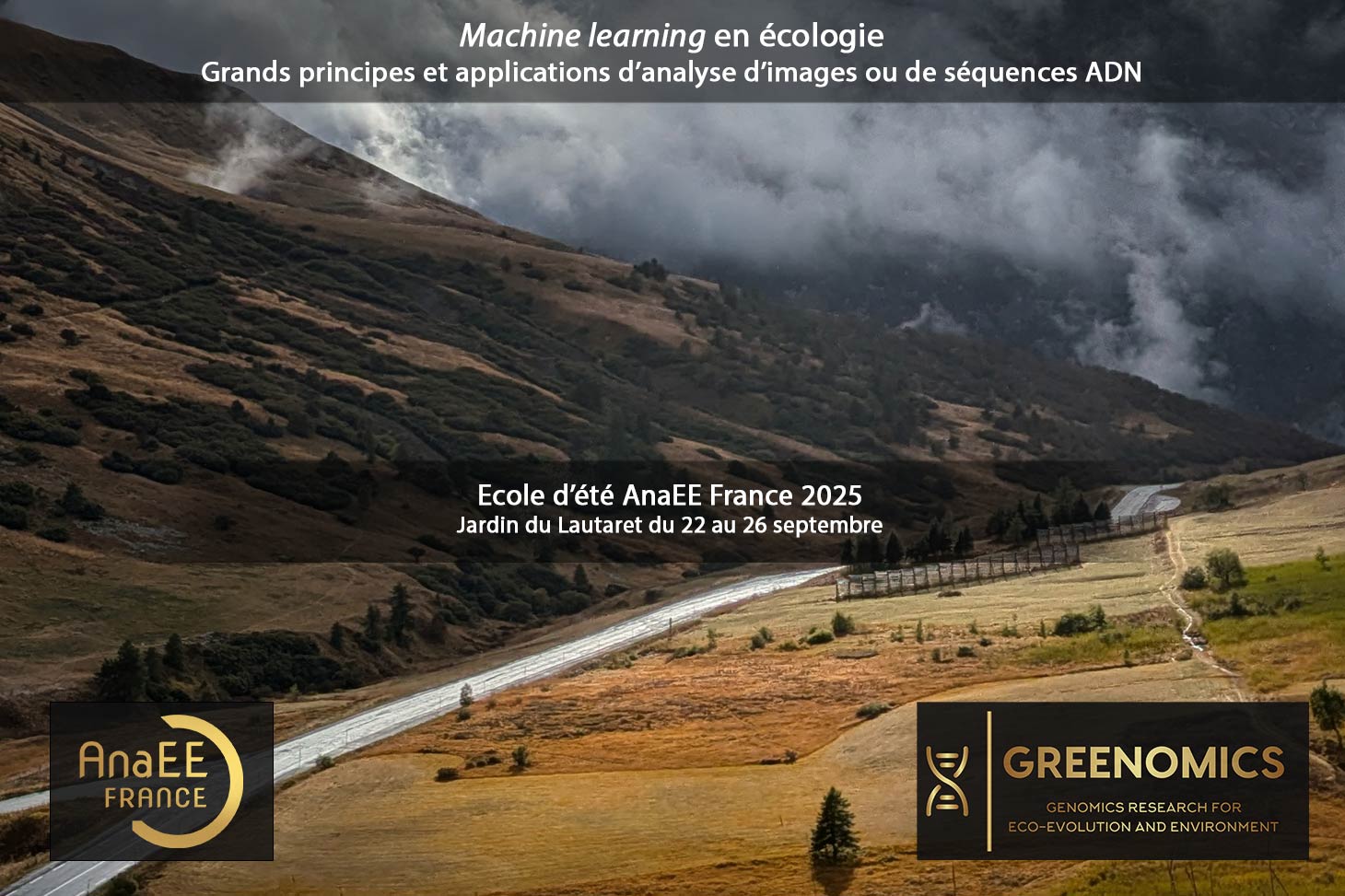 École d'été AnaEE 2025