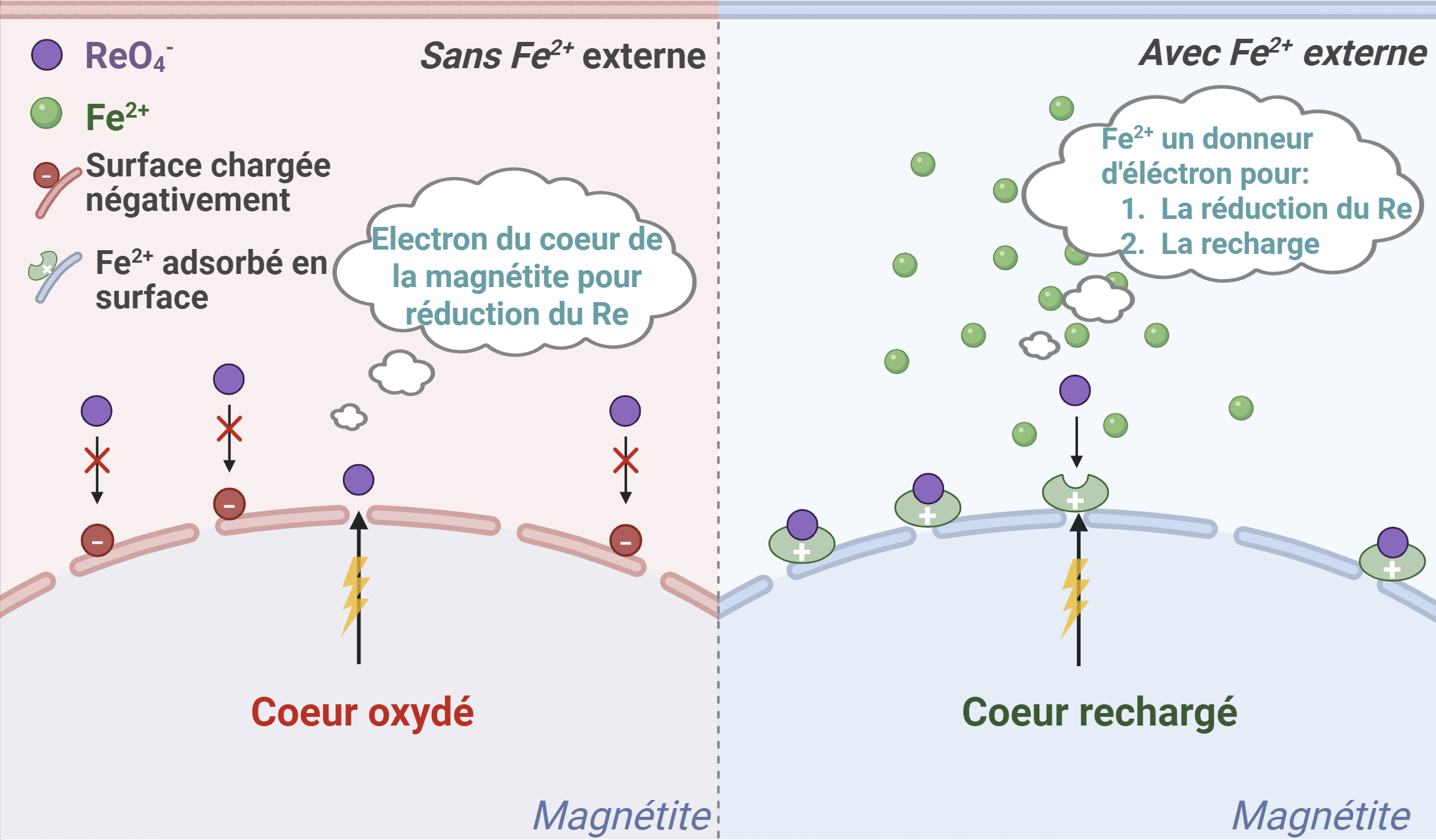 Recharge des nano-magnétites par le fer ferreux et son impact sur la récupération de l'élément critique Rhénium