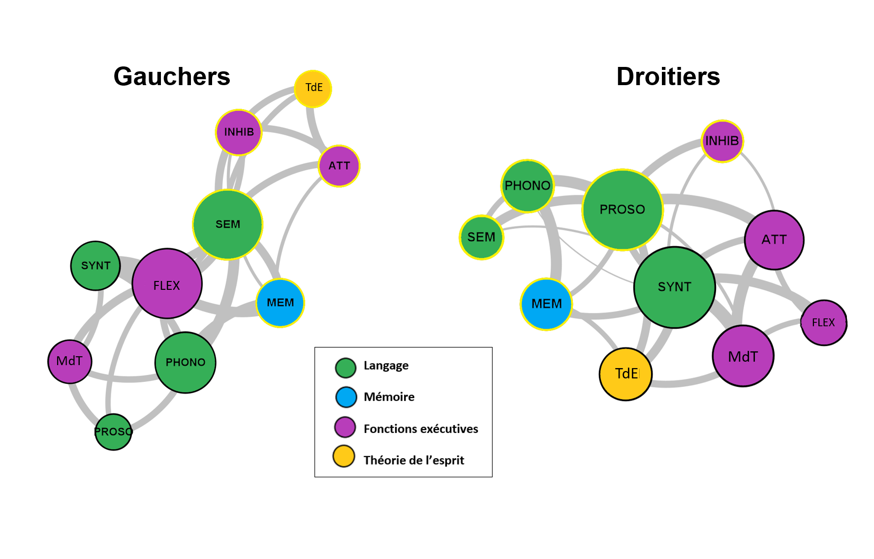 Représentation par graphes du réseau cognitif pour les participants droitiers et gauchers. © Anna Borne et Marcela Perrone-Bertolotti Représentation par graphes du réseau cognitif pour les participants droitiers et gauchers. © Anna Borne et Marcela Perrone-Bertolotti