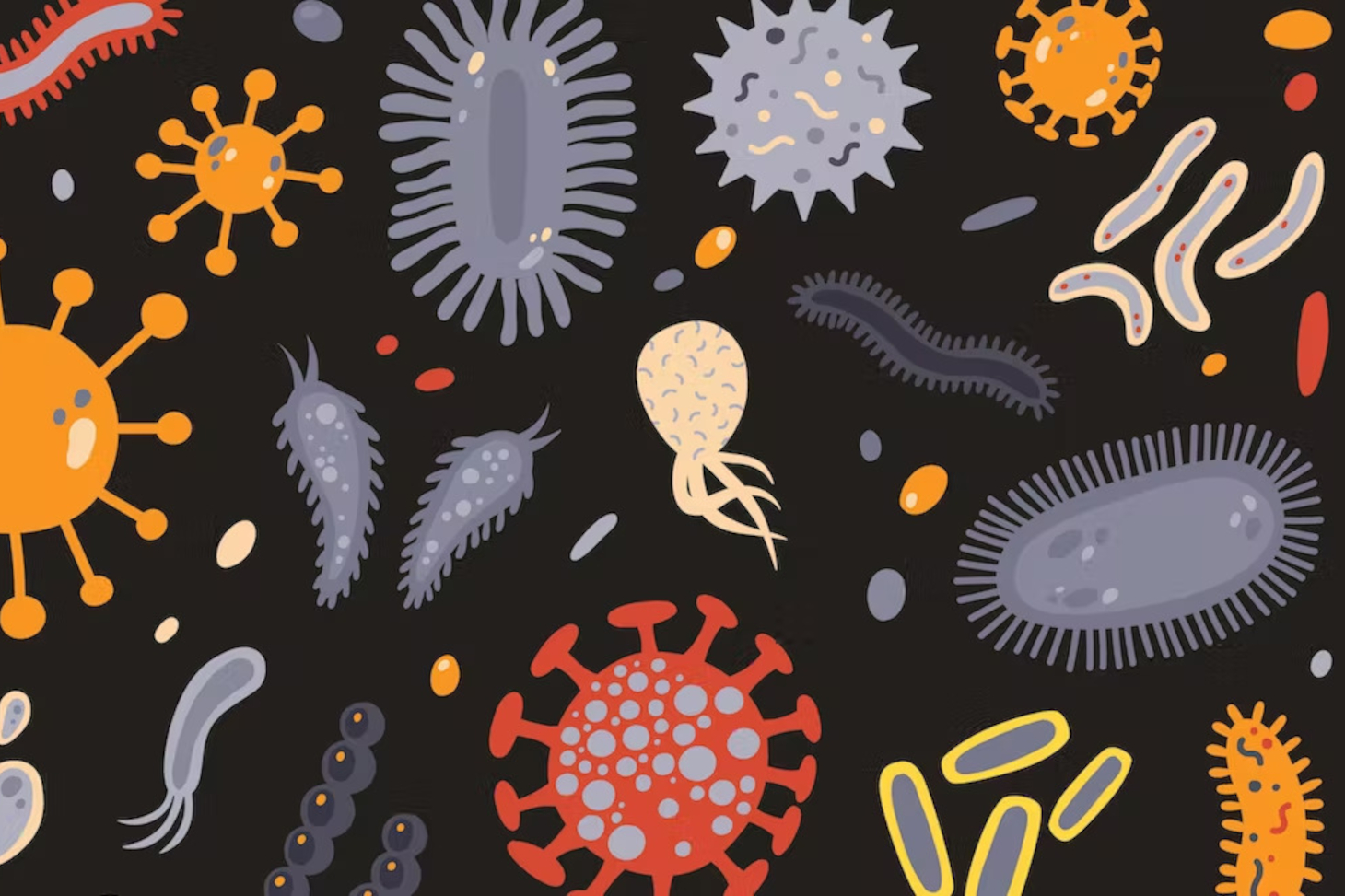 Les microbes sont partout autour de nous et certains sont très utiles. GoodStudio/Shutterstock