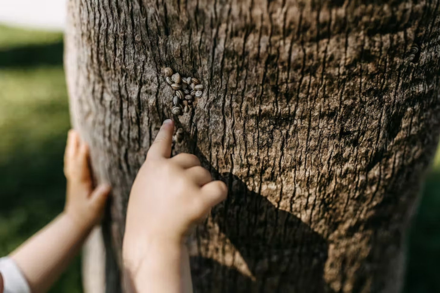 Les contacts directs et répétés avec la nature, des expériences en voie de disparition. Shutterstock