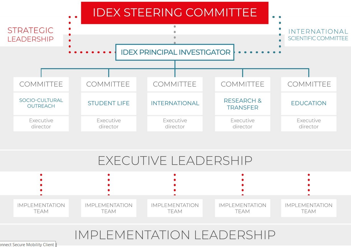 Governance of the Idex project