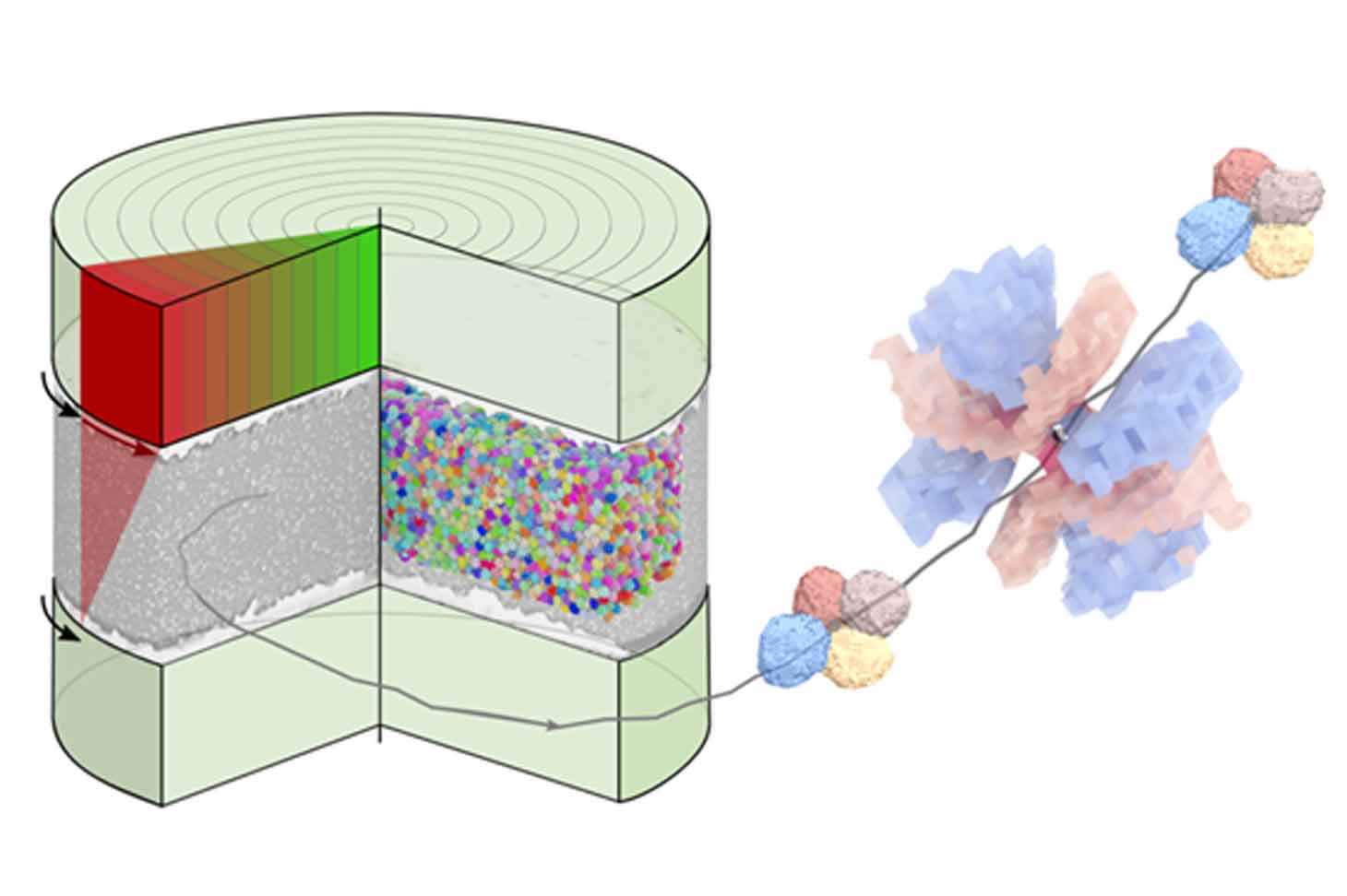 Tomo-rheoscopy of a liquid foam. Redistribution of stresses according to a quadrupole pattern during topological rearrangement (T1).