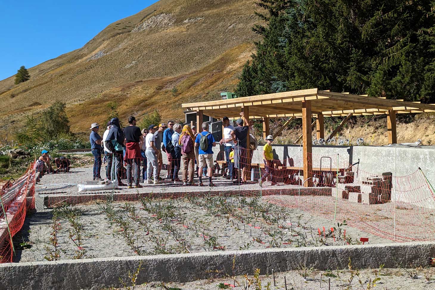 Dans la zone expérimentale du jardin du Lautaret