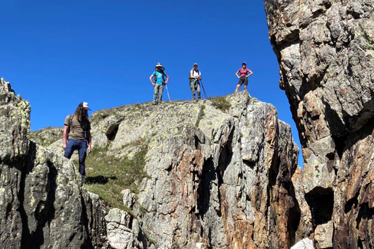 Sommets marqués par les mines, l'adaptation de cardamine resedifolia aux polluants dans les Alpes