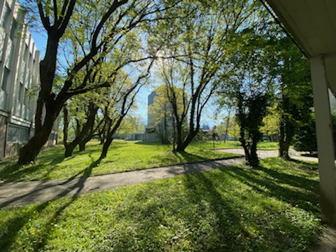 Le campus de Grenoble 