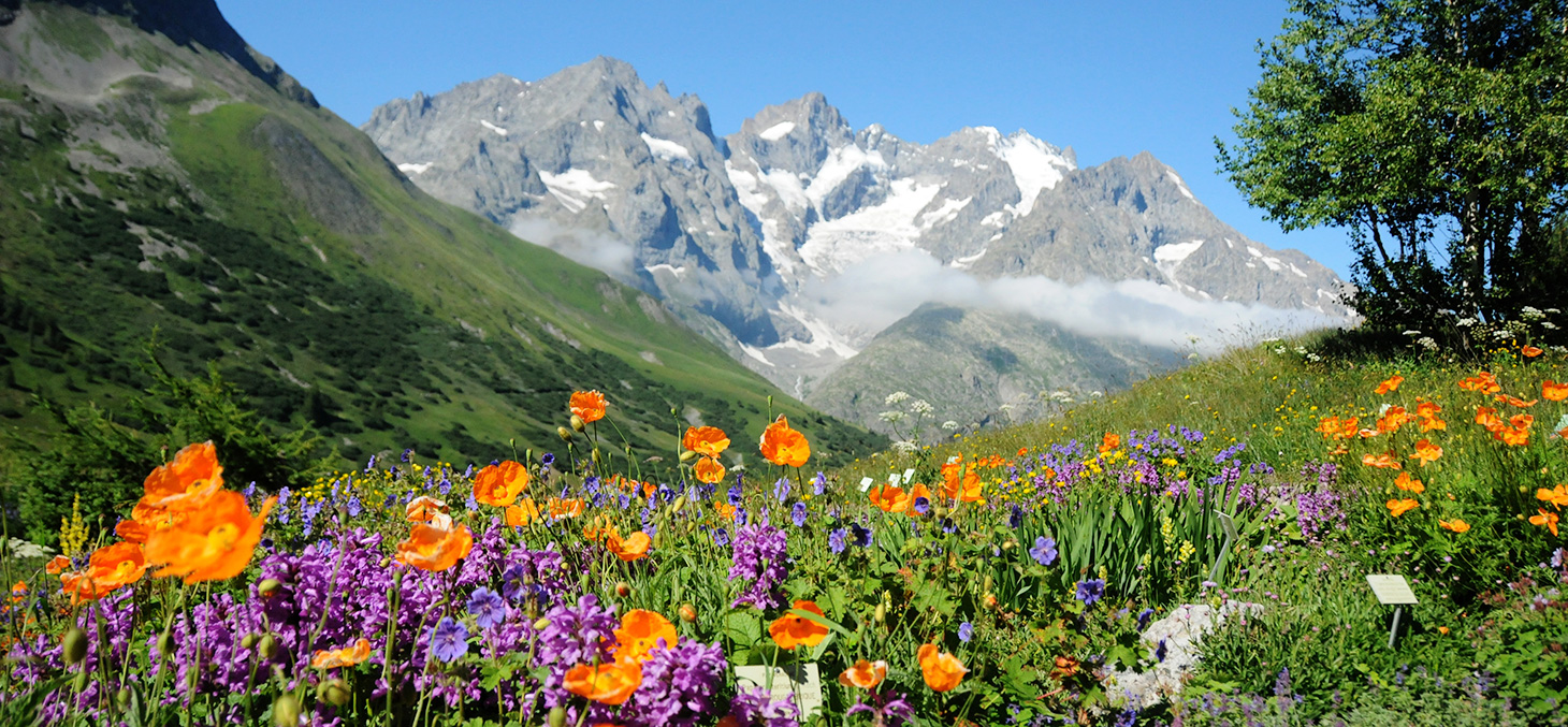 Vue du Jardin du Lautaret