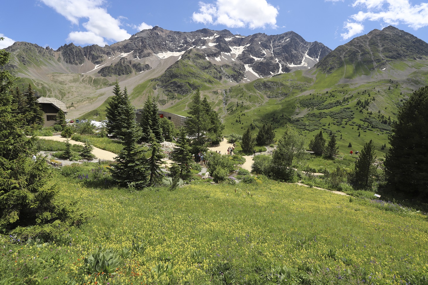 Jardin alpin du Lautaret