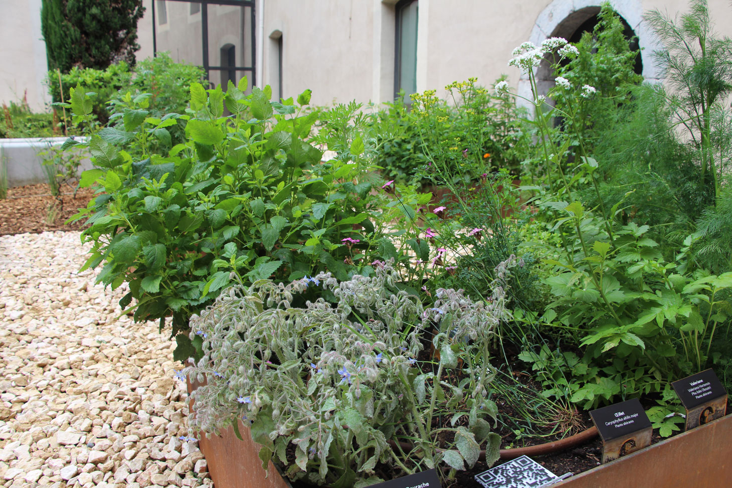 Jardinière des plantes médicinales en usage au XVIIIe siècle Jardinière des plantes médicinales en usage au XVIIIe siècle