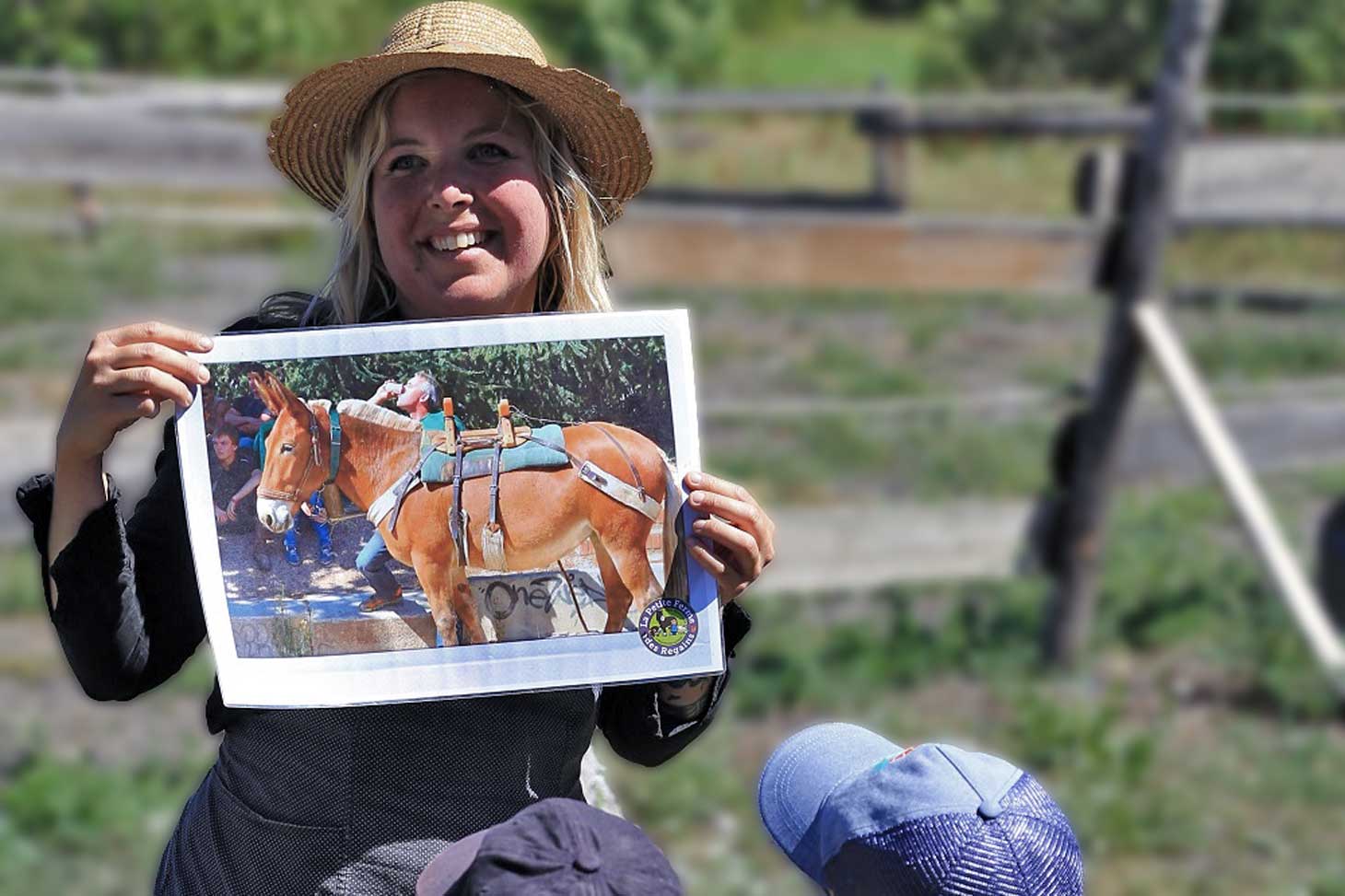 Les chevaux et le travail de la terre