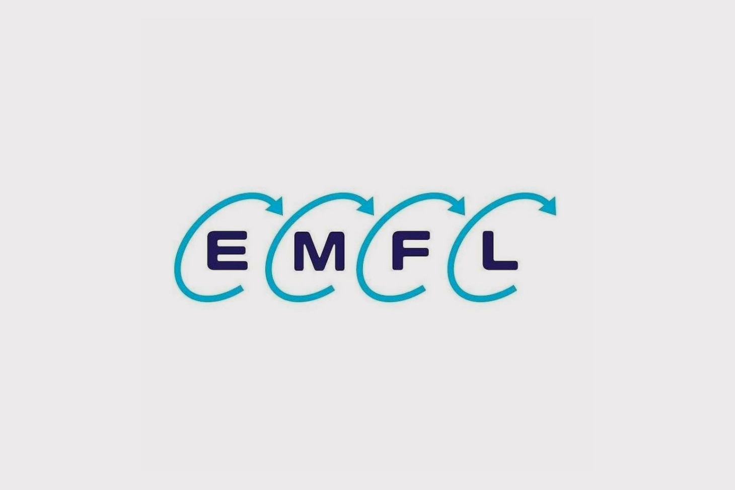 Logo European magnetic field laboratory (EMFL)