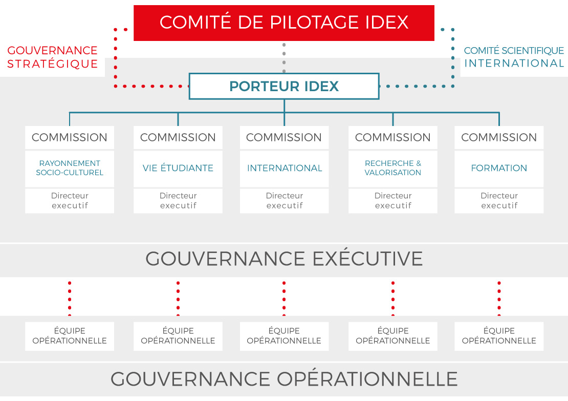 Organigramme Comex