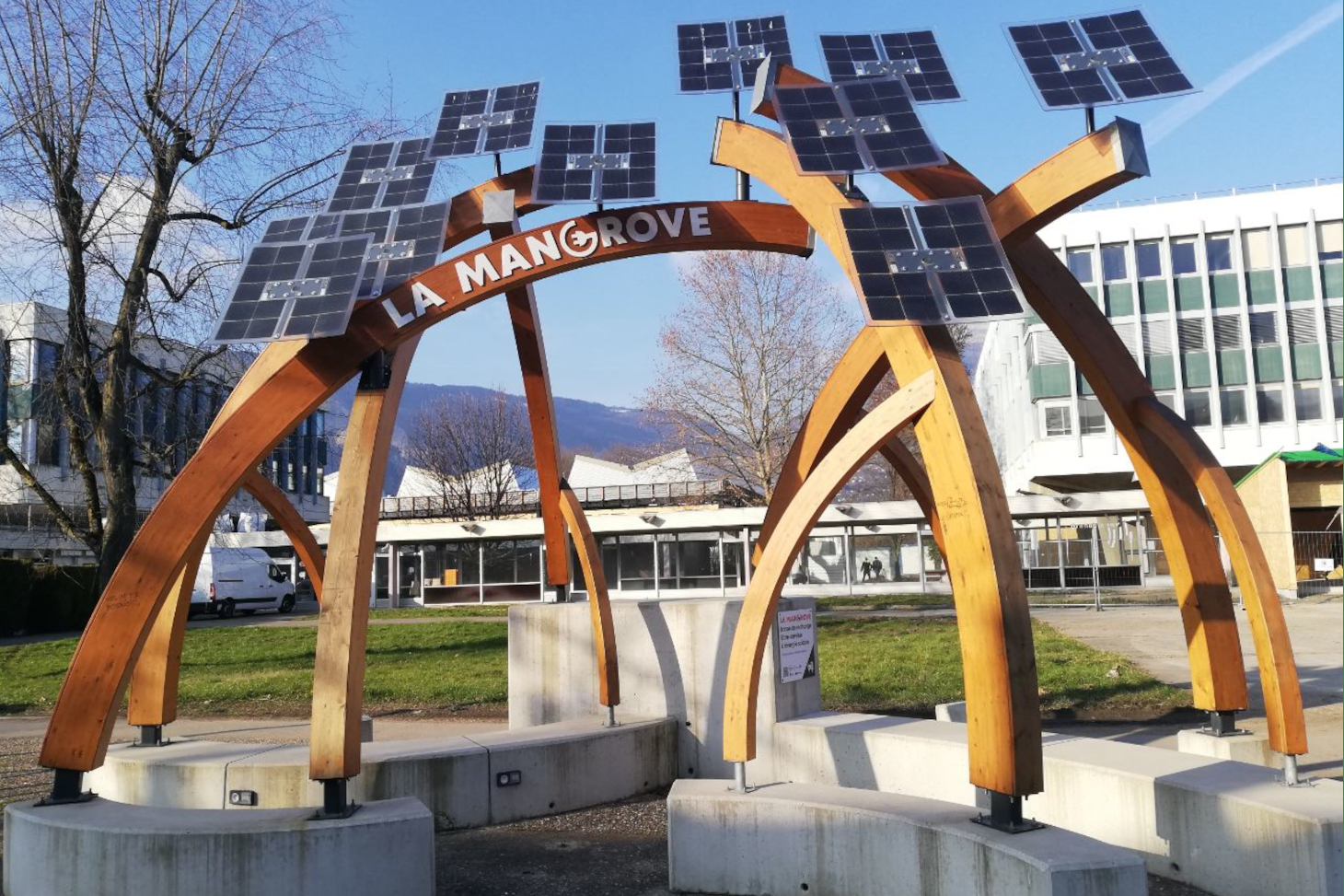 La Mangrove