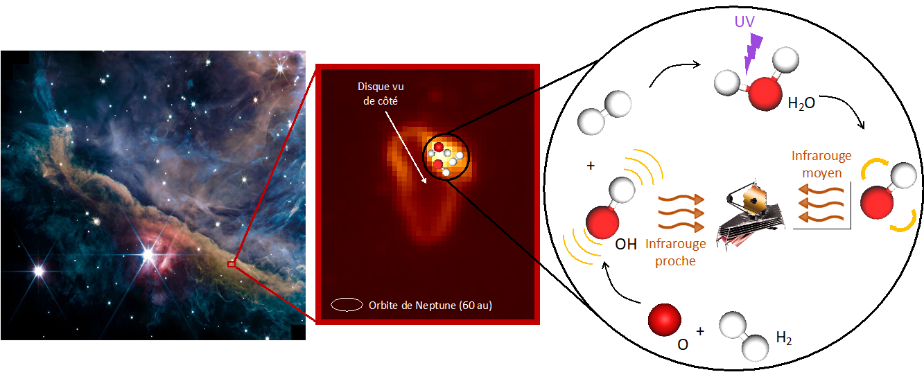 le jeune disque d203-506 enfoui dans la Nébuleuse d’Orion vu par le JWST ©PDRs4All