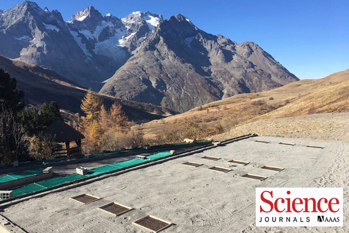 Publication revue Science 24 mars 2026