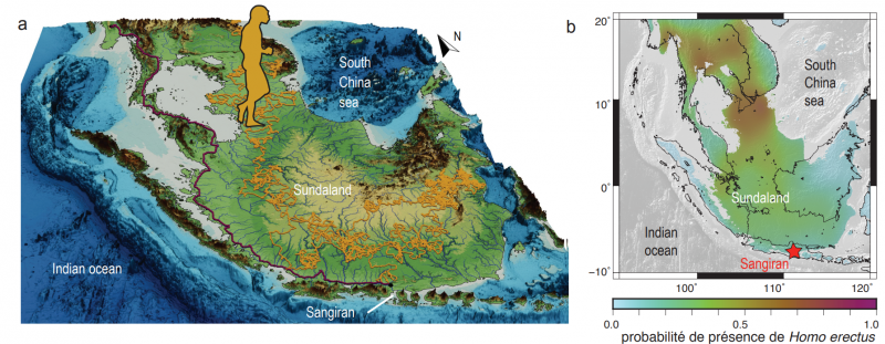 (A) Paysage reconstruit de la Sonde à 1.8 Ma avec 2 exemples de simulations mécanistiques de trajectoires : la plus courte (rouge) et une trajectoire aléatoire de déplacement écologique (jaune). (B) Probabilité de présence de Homo erectus dans la sonde.Cf