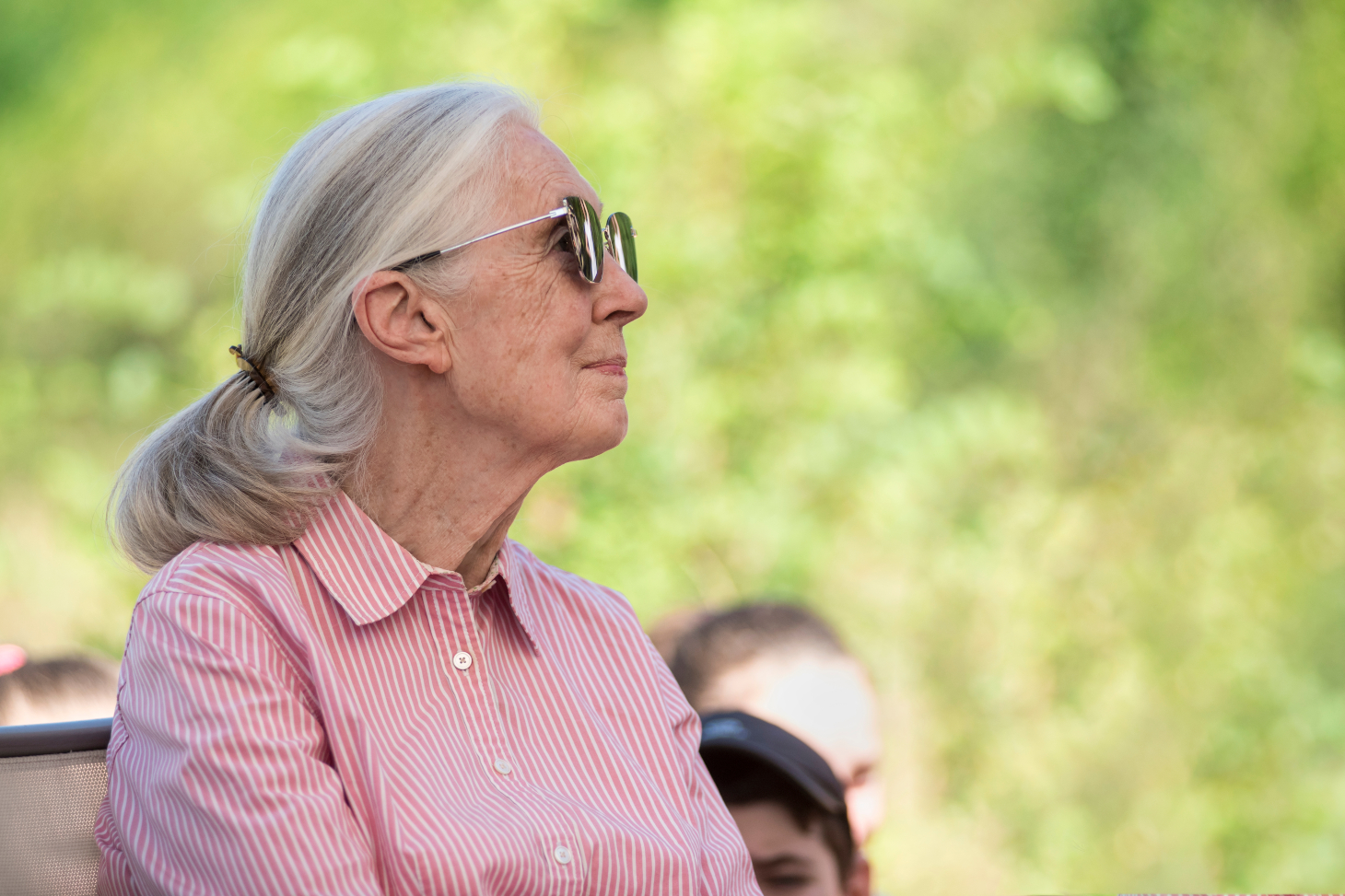 La primatologue britannique Jane Goodall -  Shutterstock