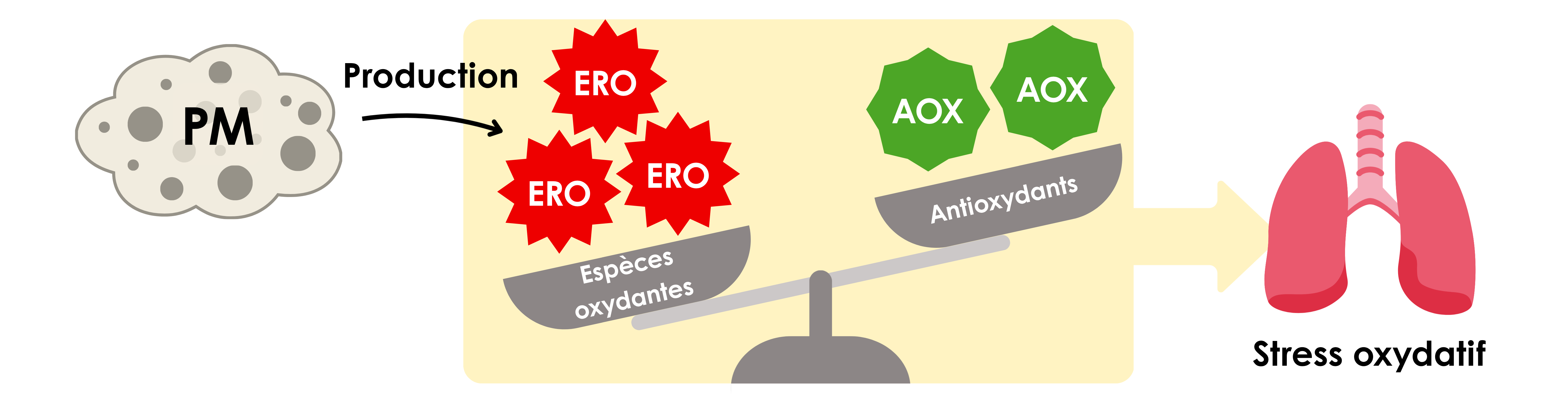 Schéma potentiel oxydant