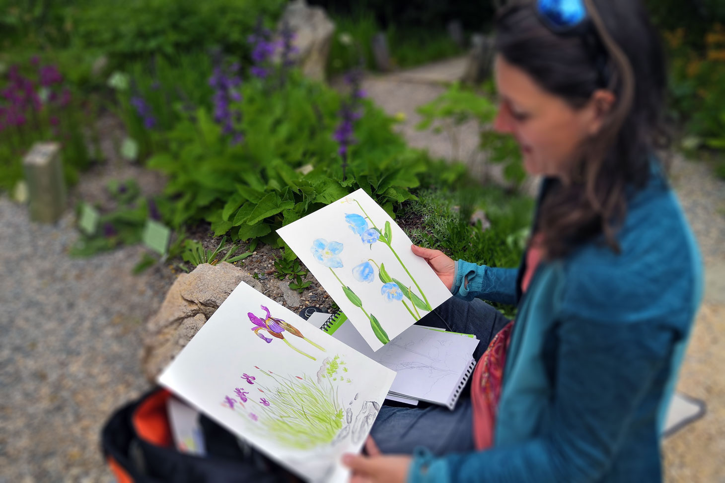 Apprendre ou se perfectionner à l'aquarelle botanique