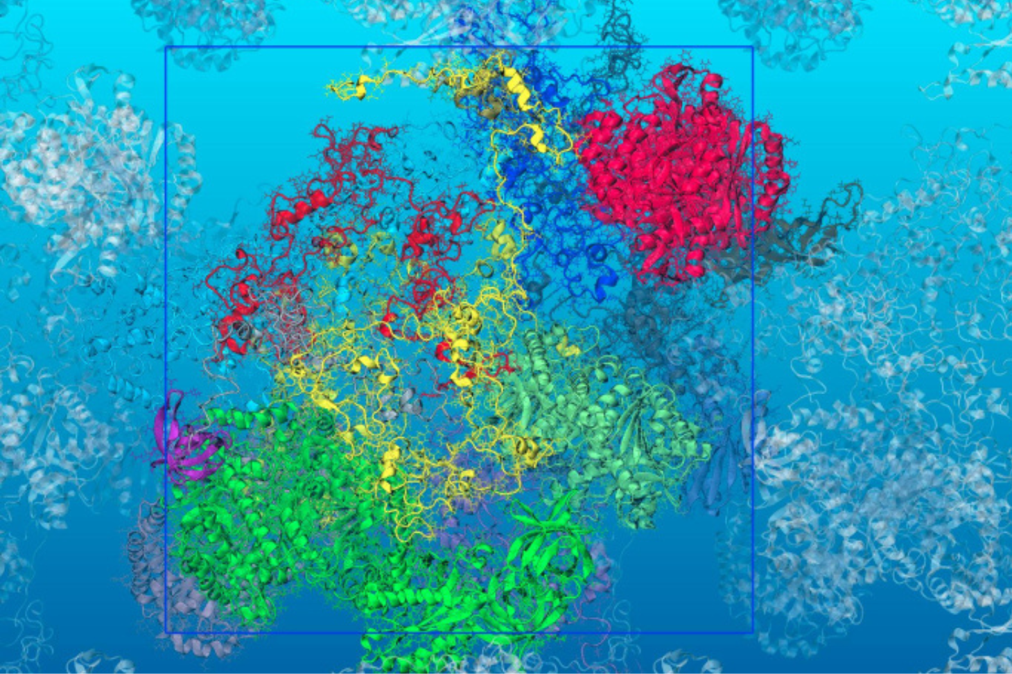 À l'approche de la température de la mort cellulaire, les simulations de dynamique moléculaire multi-échelle prédisent un dépliement de certaines protéines qui changent dramatiquement la viscosité du milieu cellulaire. © Fabio Sterpone