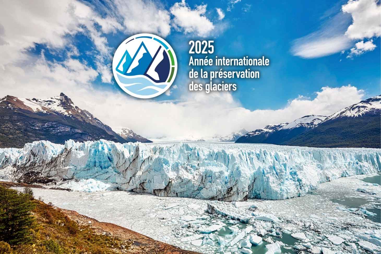 vignette de l'année internationale de la préservation des glaciers
