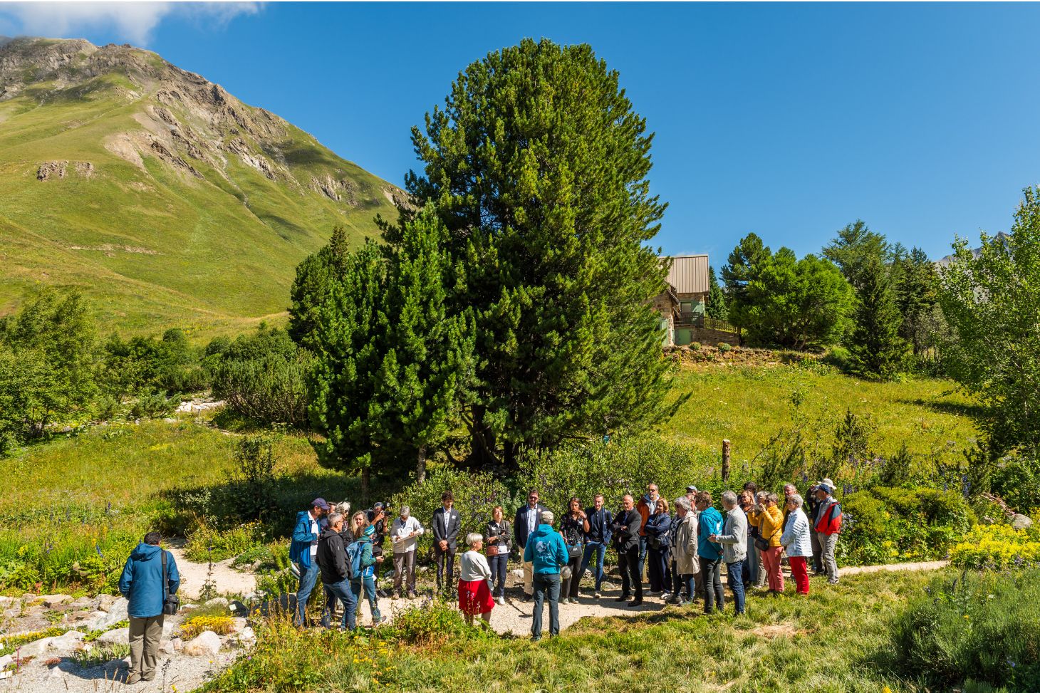 visite jardin 20 ans de recherche au Lautaret 