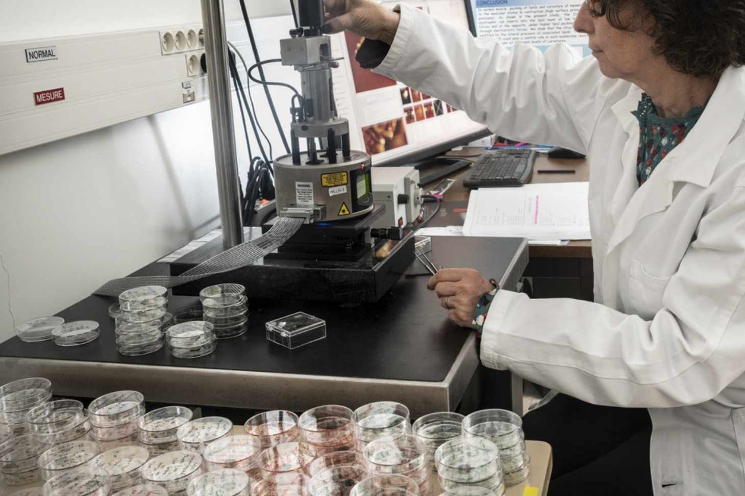 Microscope à force atomique pour la visualisation de surface d'échantillon biologique à très grande résolution. © Jean-Claude MOSCHETTI / IPR / CNRS Images