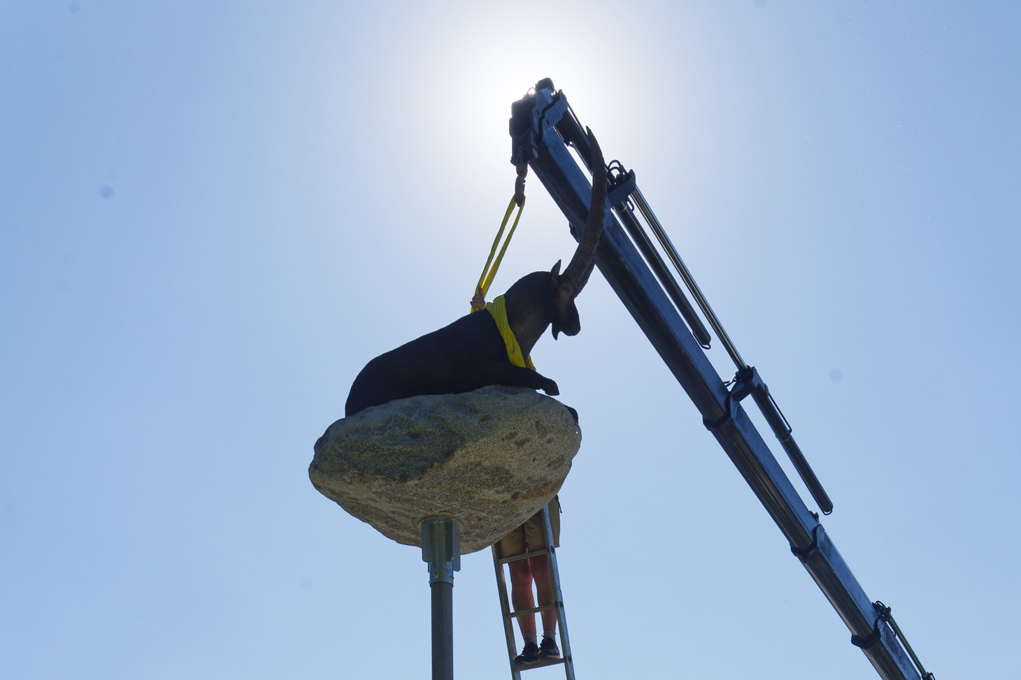 Mise en place de l’une des sculptures d’animaux au sommet de l’œuvre de Victoria Klotz à découvrir le 19 octobre prochain
