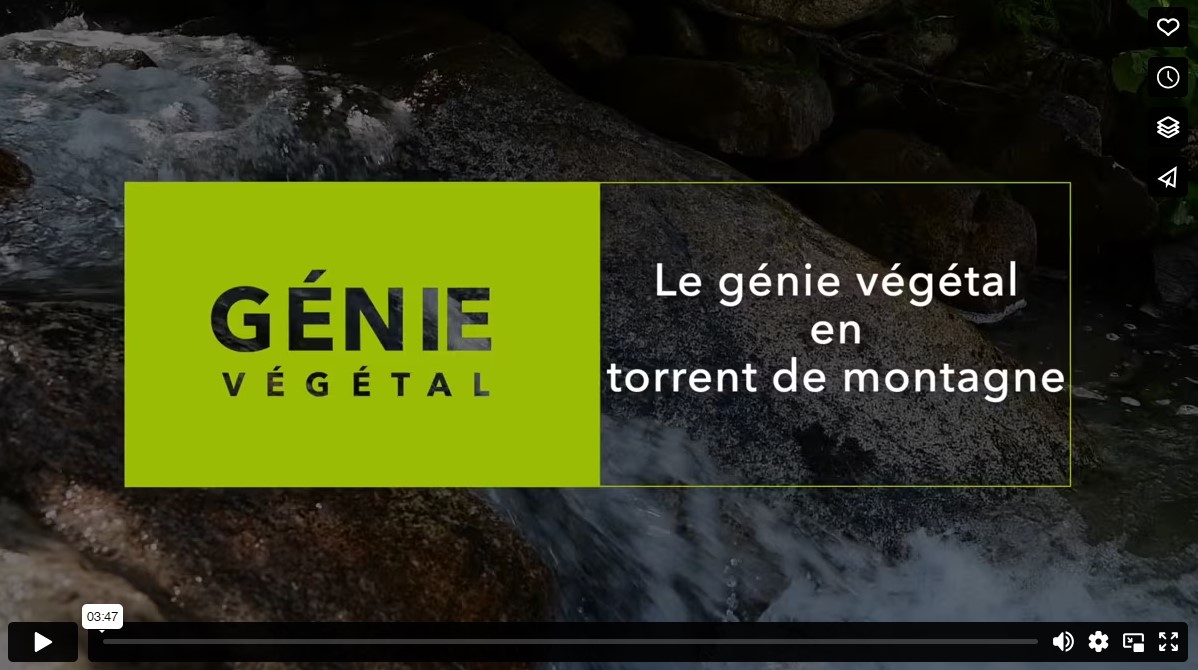 vidéo génie végétal en torrents de montagne - INRAE