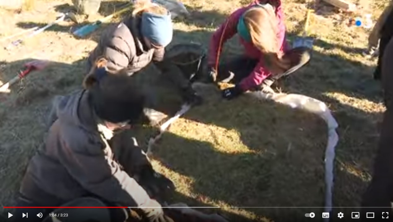 reportage France 3 Auvergne Rhône-Alpes